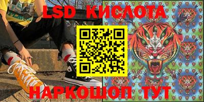 бошки Дмитров