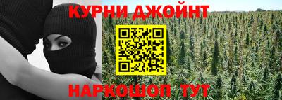бошки Дмитров