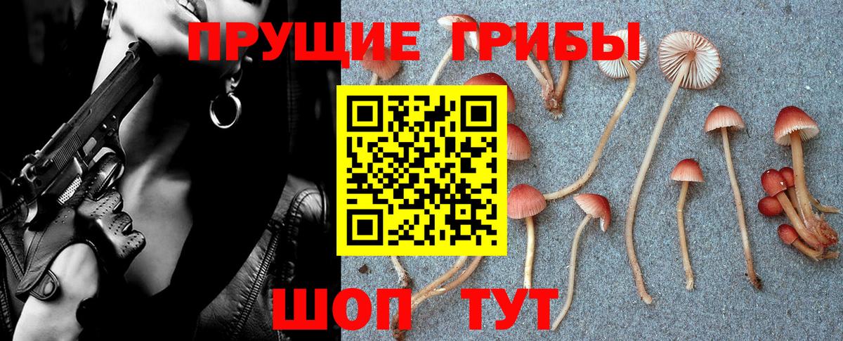 Псилоцибиновые грибы мухоморы  Псилоцибиновые грибы мицелий  Белогорск  Вход с VPN 