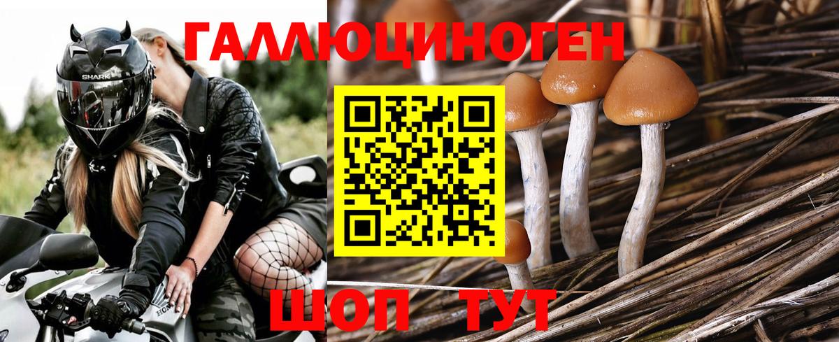 Галлюциногенные грибы прущие грибы Белогорск
